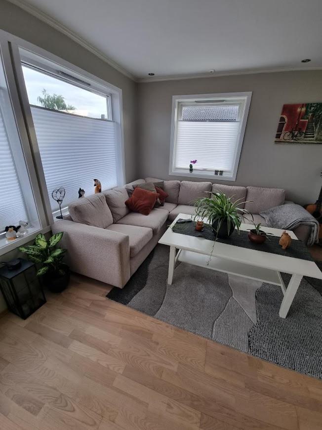 Private Guest Room In Cozy Apartment 特隆赫姆 外观 照片