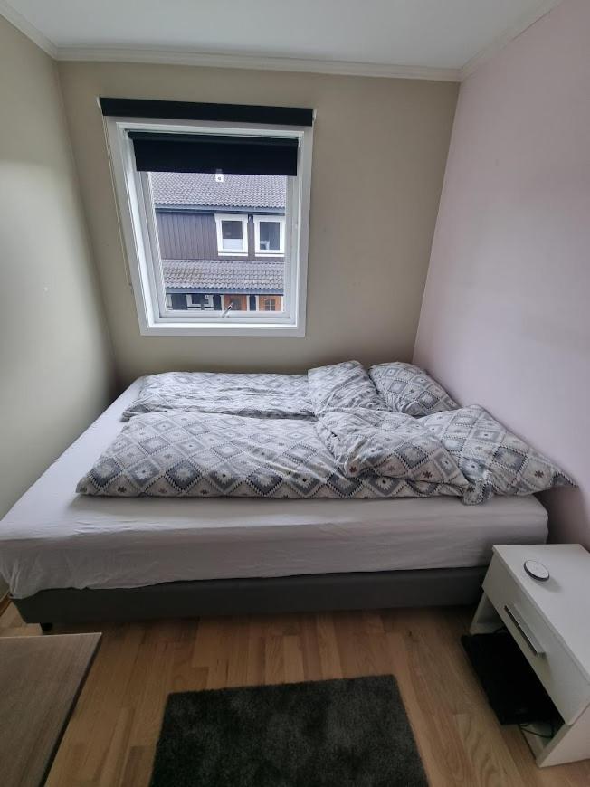 Private Guest Room In Cozy Apartment 特隆赫姆 外观 照片